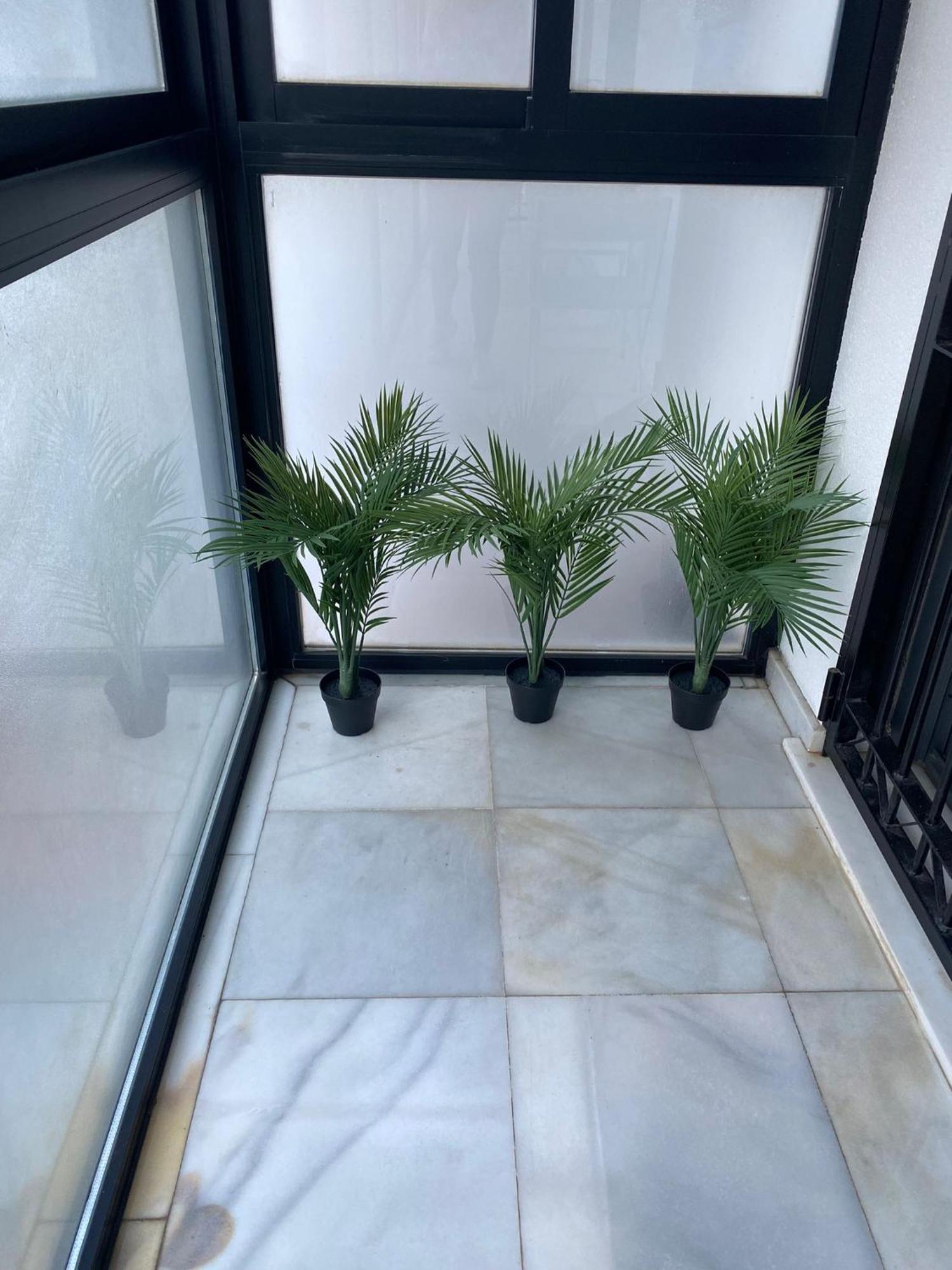 Apartamento Carvajal Beach فوينخيرولا الغرفة الصورة
